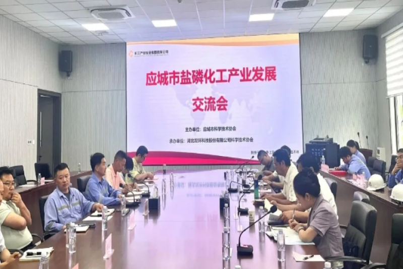 聚智赋能促创新 青年科创展担当——湖北省化学化工学会青年委员会赴应城开展产学研对接 助力盐磷化工产业创新